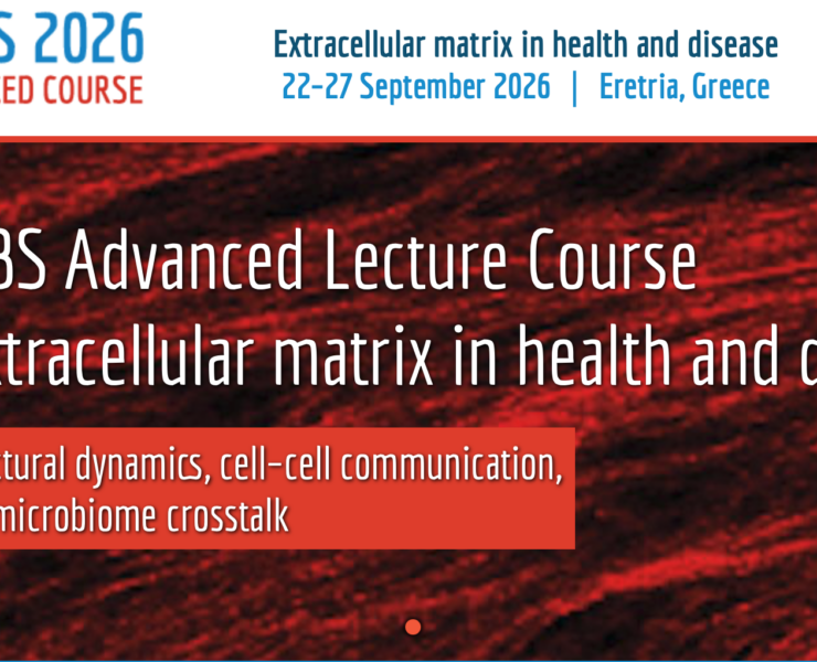 Screenshot 2026-02-17 at 10.29.28 AM