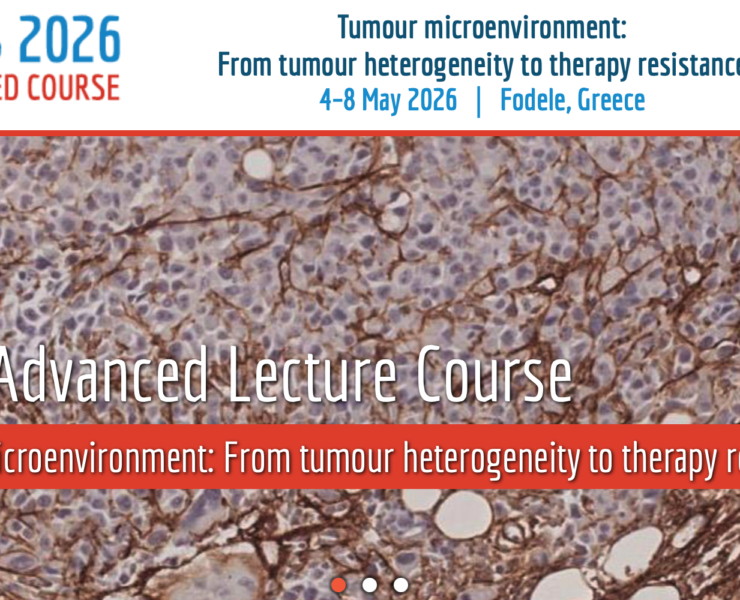 Screenshot 2026-02-17 at 10.32.04 AM