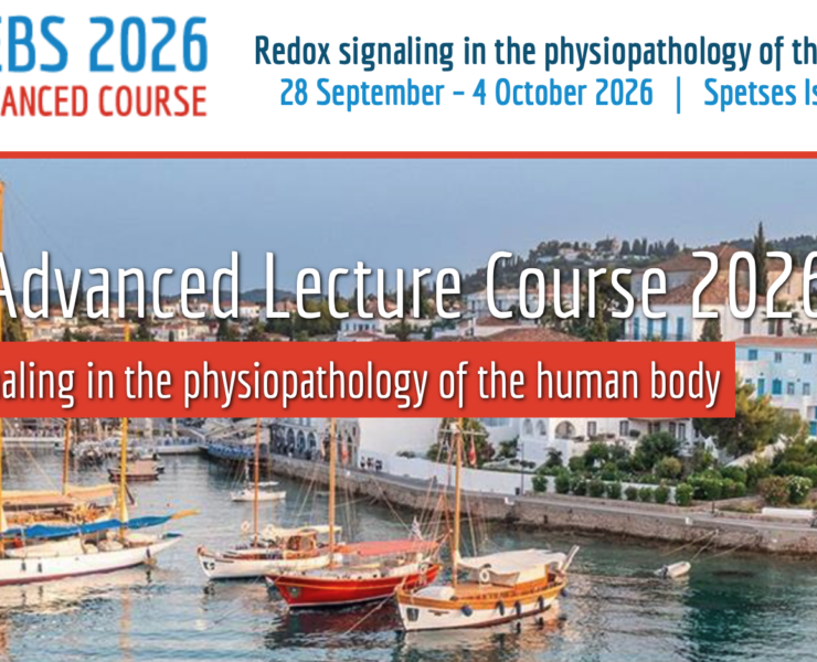 Screenshot 2026-02-17 at 10.33.49 AM