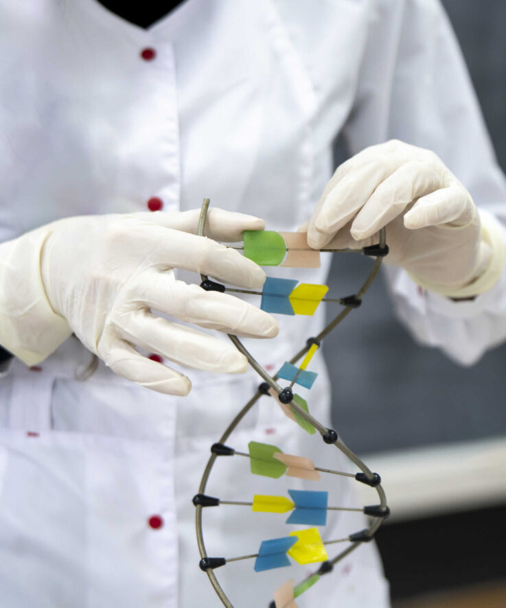 young asian professor in the university showing DNA model in classroom