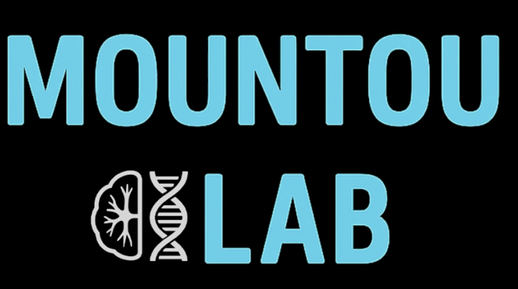 MOUNTOULAB