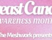 Breast Cancer Awareness Month – THEmeshwork webinar